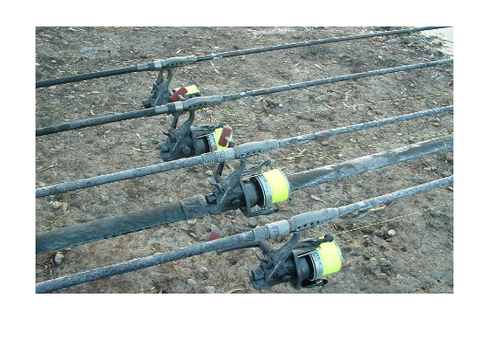 Noiembrie 2010 la Greaca